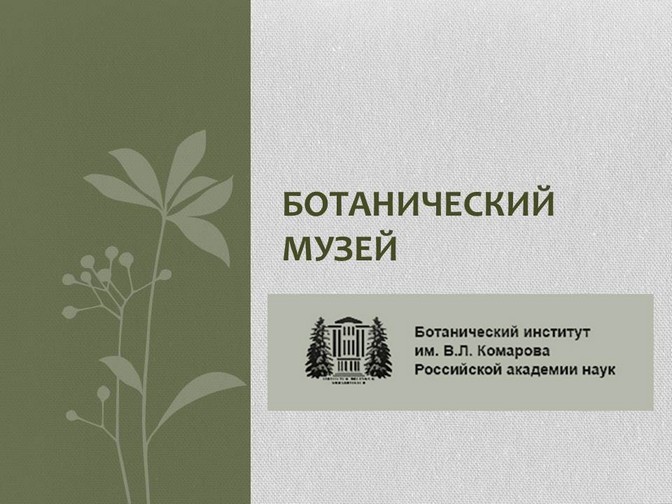 Сайт ботанического института